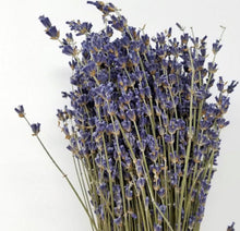 Load image into Gallery viewer, High-Grade French Lavender Flower BUNCH 14&quot; L
