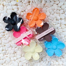 Load image into Gallery viewer, Daisy Days Hair Claw Set
