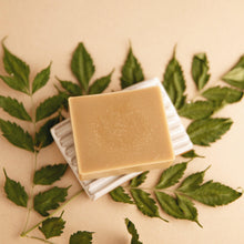 Load image into Gallery viewer, Forest Bathing - Natural Bar Soap
