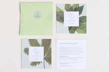 Load image into Gallery viewer, Earthy Shower Steamer, Refreshing Gift Box for Men and Women, Set of 5 Shower Steamers

