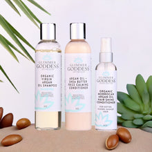 Load image into Gallery viewer, Organic Argan Oil Hair Treatment Trio, Hydrating Shampoo, Deep Conditioner, and Hair Shine Spray
