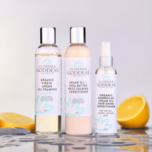 Load image into Gallery viewer, Organic Argan Oil Hair Treatment Trio, Hydrating Shampoo, Deep Conditioner, and Hair Shine Spray
